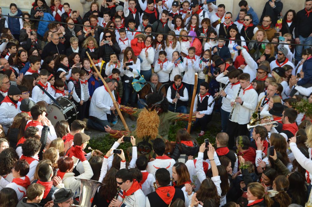 Capdepera celebra Sant Antoni