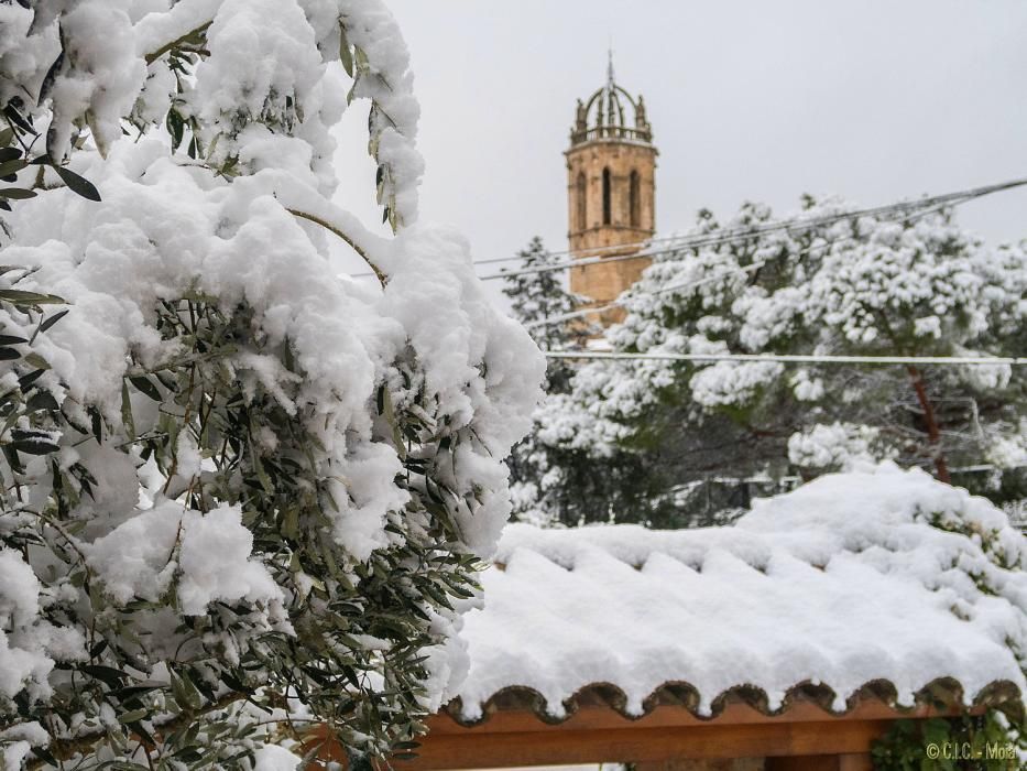 Neu a Moià.