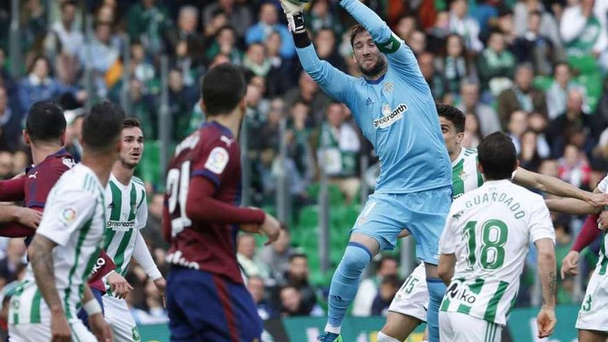 Dani Giménez atrapa un balón en un partido entre el Betis y el Eibar de esta temporada.