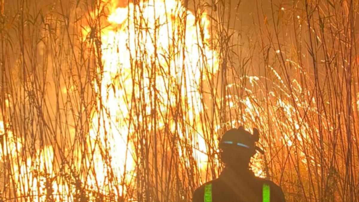 Un bombero, frente a las llamas del incendio.