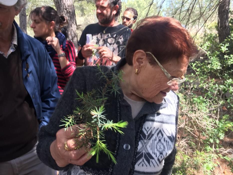 La botica del bosque.