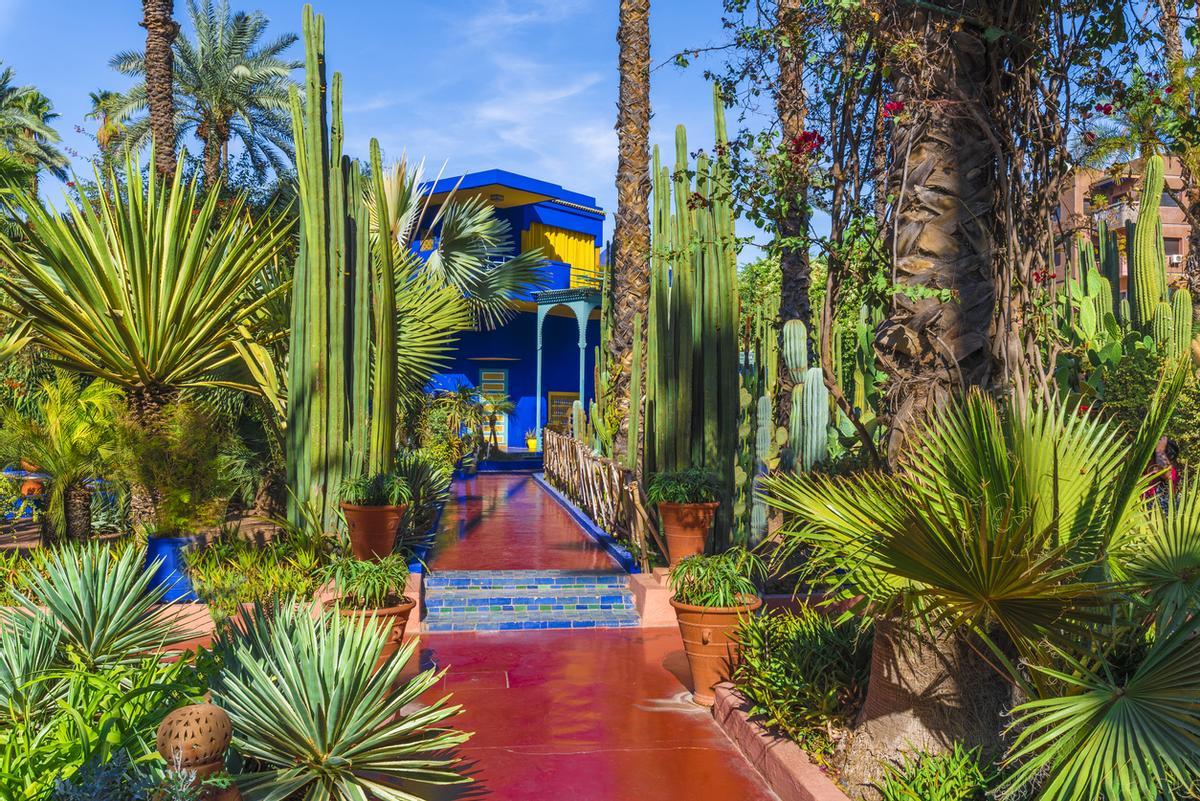 El jardín Majorelle en Marrakech