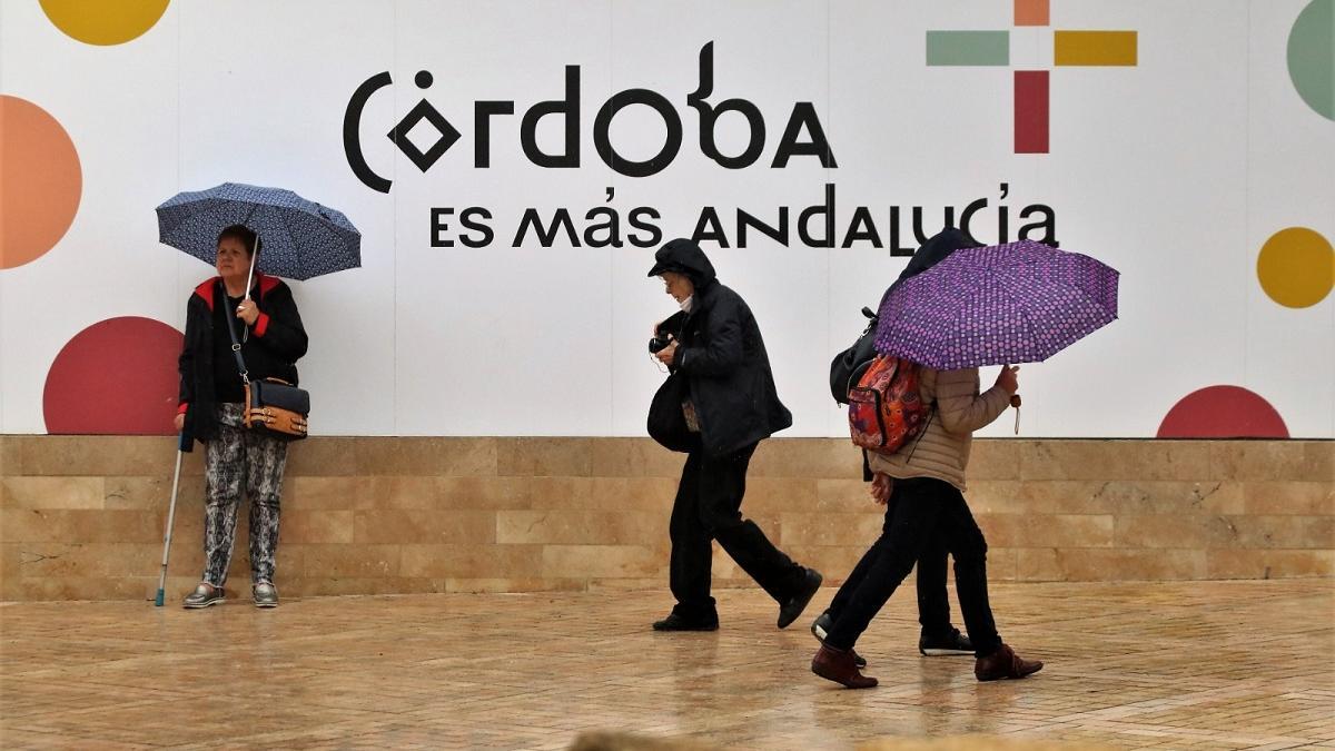 Viandantes con paraguas el miércoles en Córdoba.