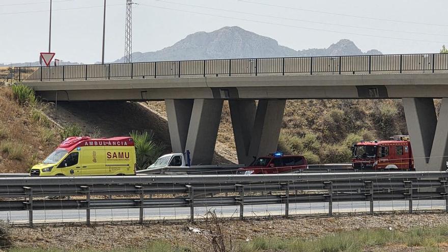 Un camión se sale de la A-31 en Sax y choca contra la base de un puente