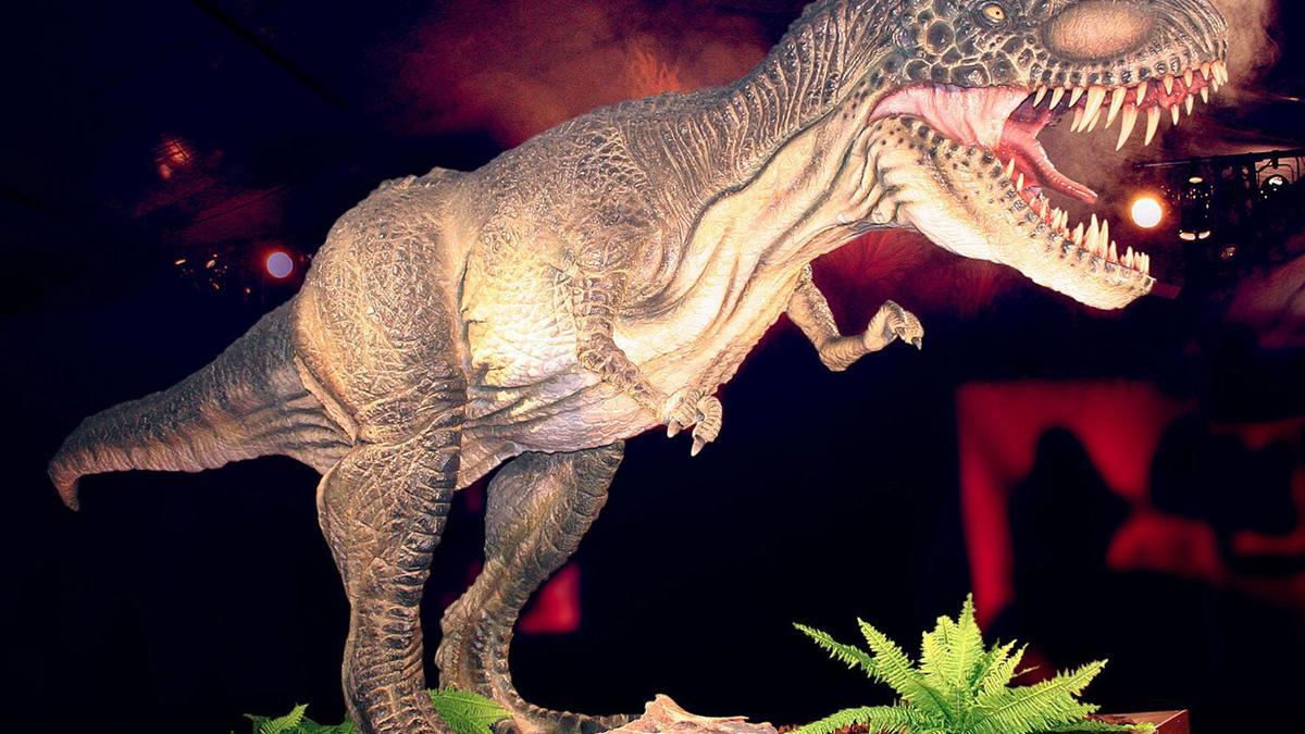 Tiranosaurio de Dino Expo XXL