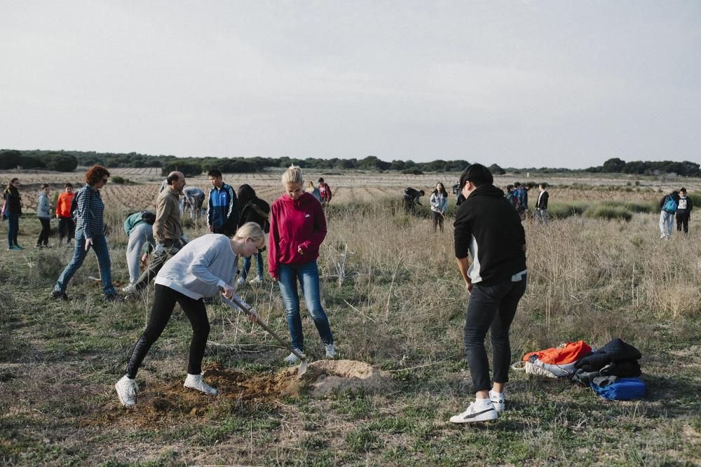 Plantación de especies autóctonas de alumnos del IES Mare Nostrum el día del arbol en el parque natural de las lagunas