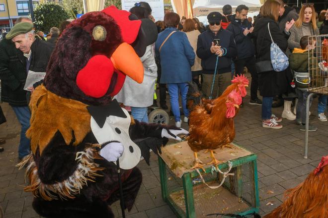 Arteixo celebra la Feria del Gallo