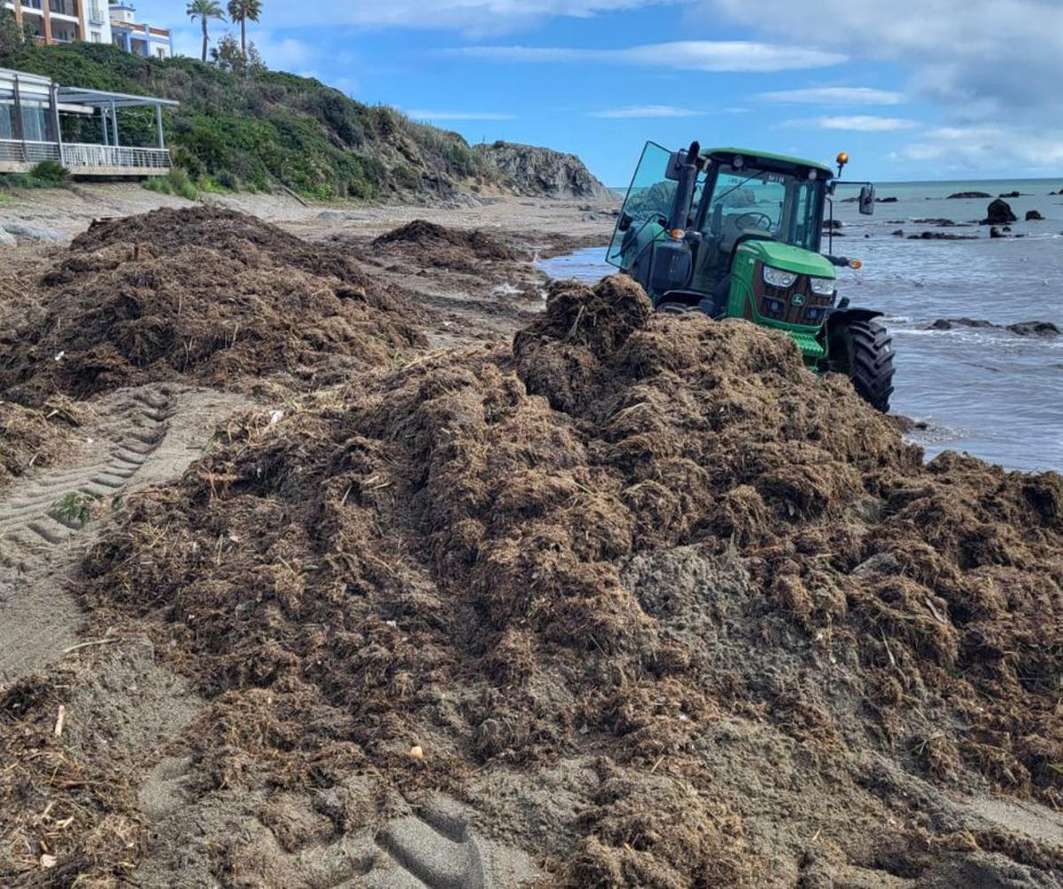 Trabajos de reparación en el extremo más occidental de la Costa del Sol. | L. O.