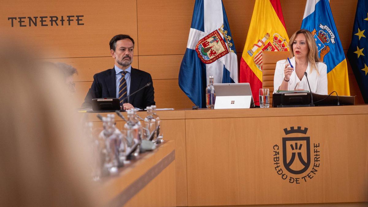 Rosa Dávila, junto a Lope Afonso, durante el segundo Debate del Estado de la Isla