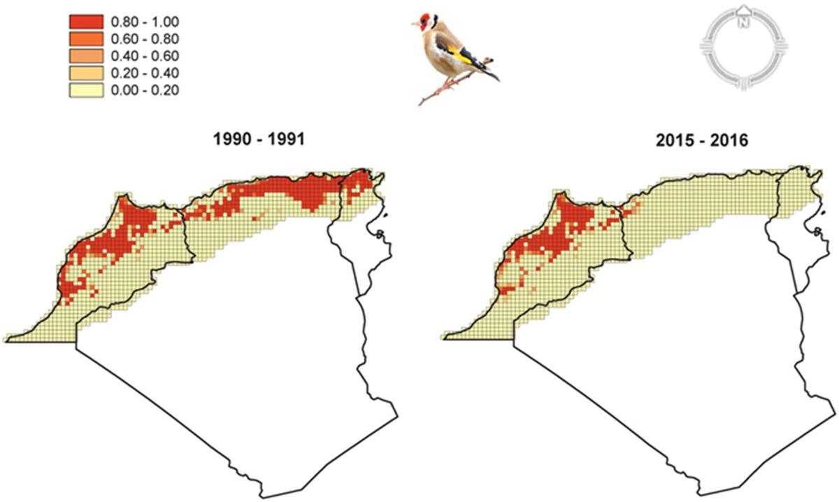 Reducción de la especie en tres países norteafricanos (Marruecos, Argelia y Túnez) en las últimas décadas