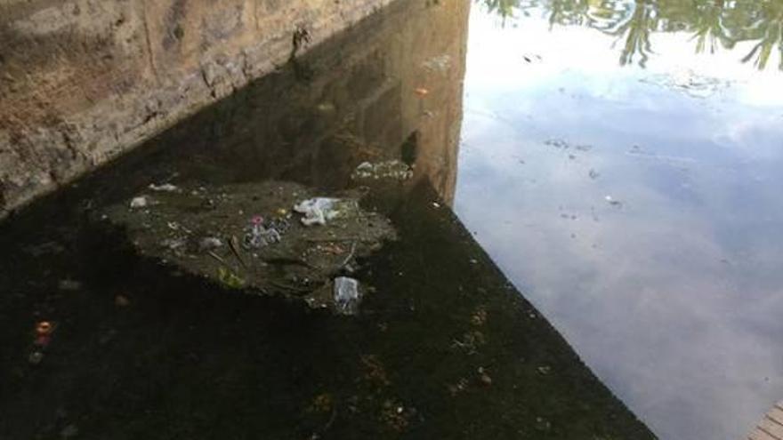 Denuncian el abandono del estanque bajo el Pont de la Mar