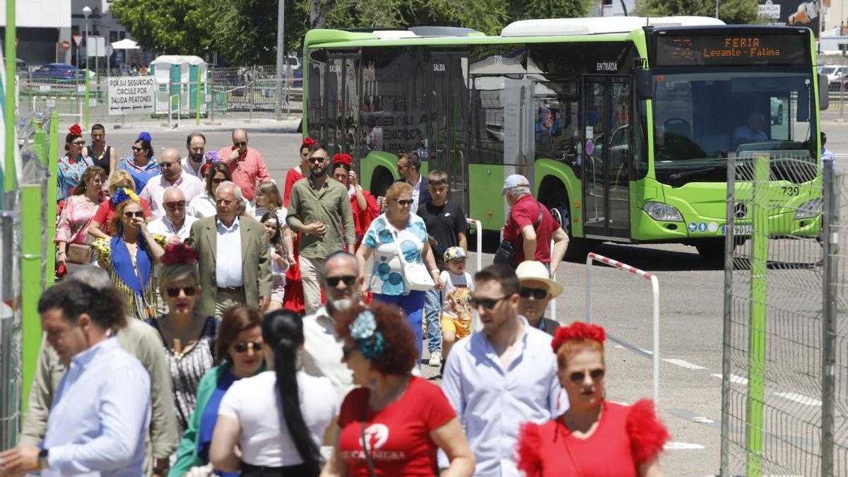 Imagen de los autobuses en la parada de la Feria de Córdoba.