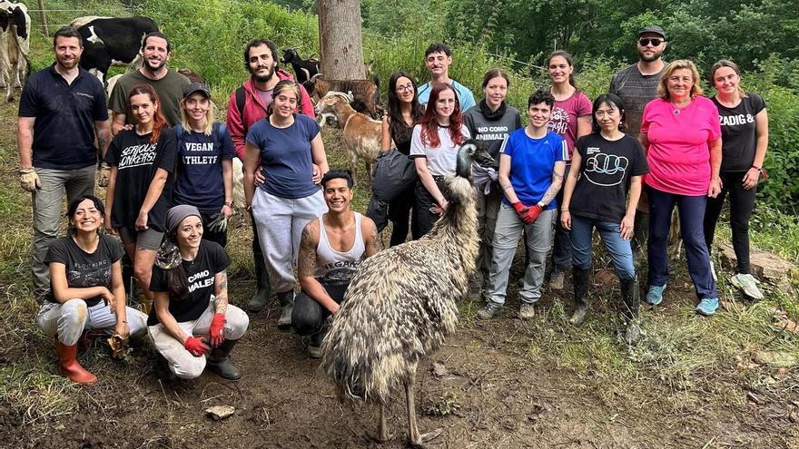 Un santuario para animales en Piloña: &quot;Miramos por la Península y decidimos venir a Asturias porque es un auténtico paraíso&quot;