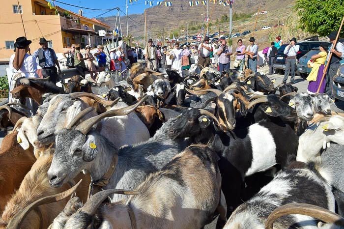 Romería de San Antonio el Chico