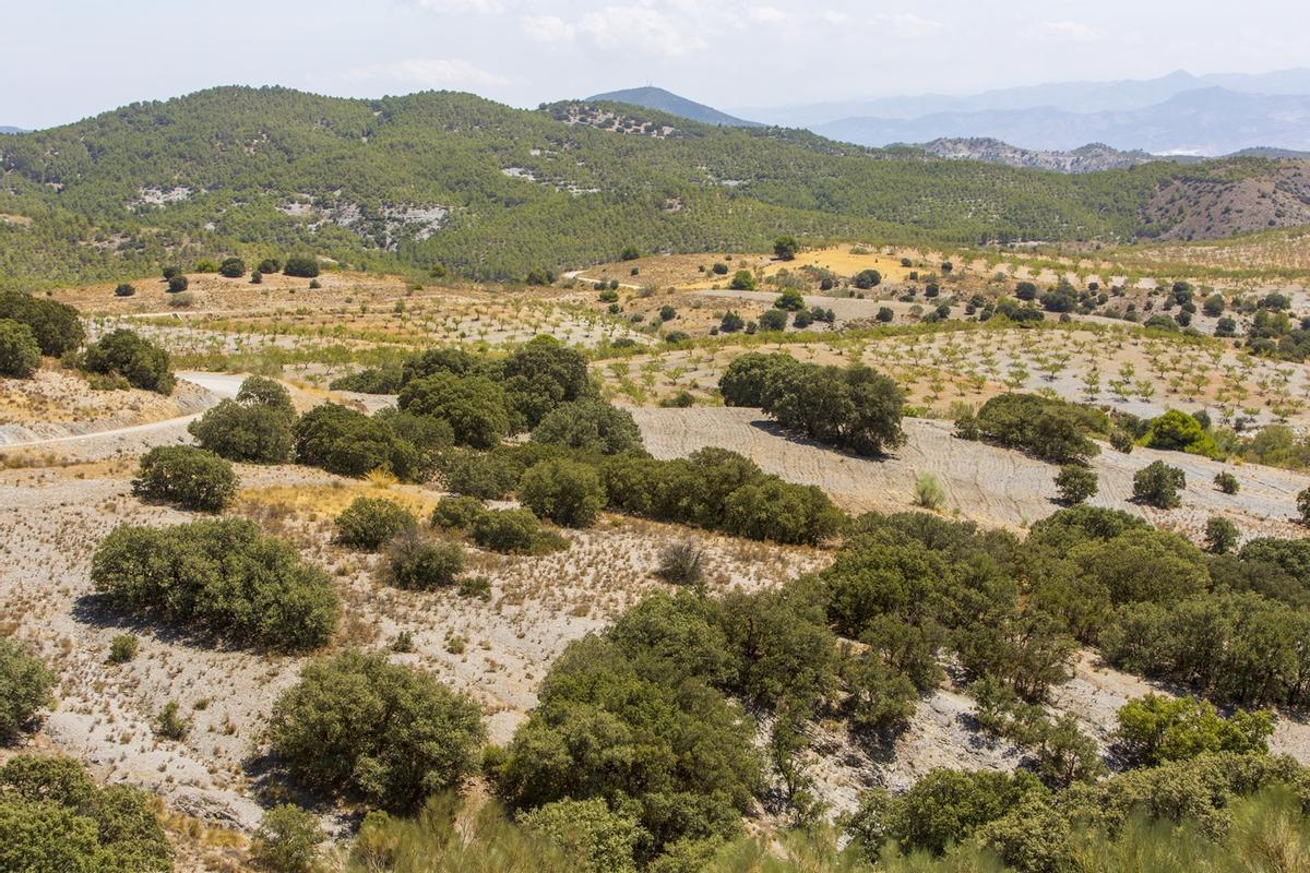 Sierra de Lúcar, Almería
