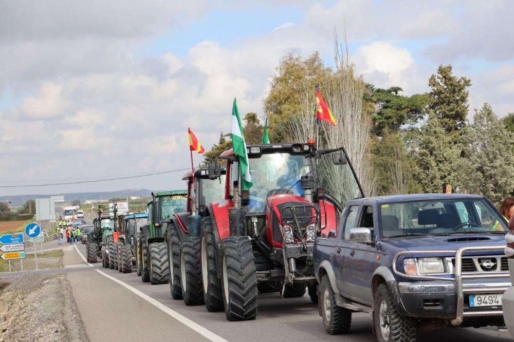 Tractorada de los agricultores y ganaderos malagueños contra los precios bajos que impone la industria.