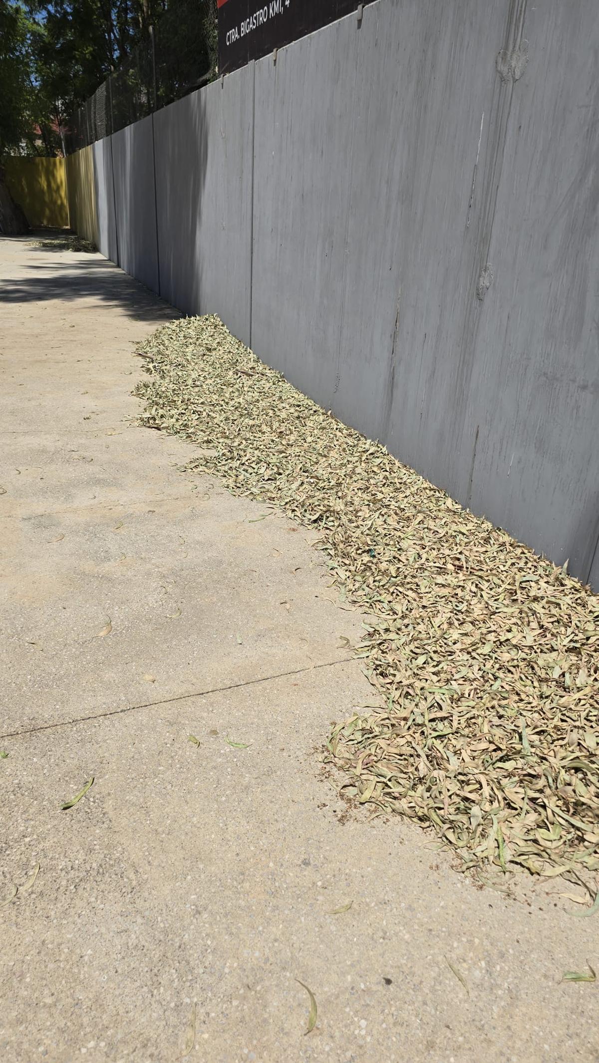 Así están las instalaciones y gradas del campo municipal de Los Arcos en Orihuela