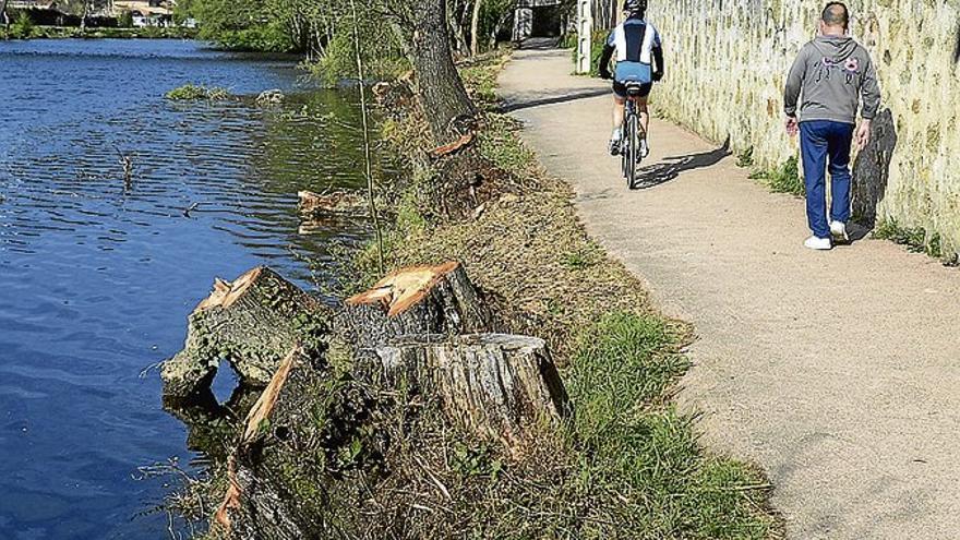 El ayuntamiento finaliza los trabajos de mejora en el paseo Fluvial