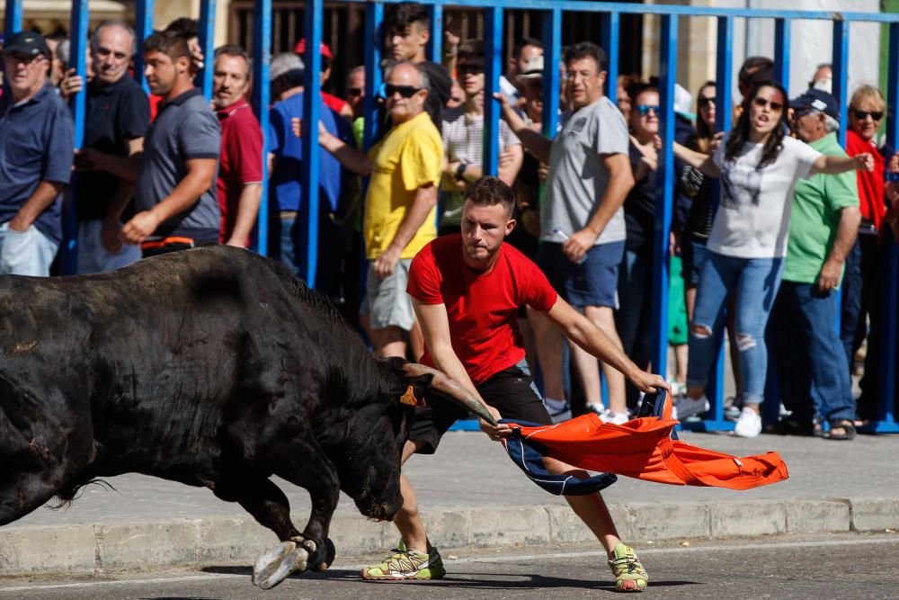 Encierro Urbano Bóveda de Toro