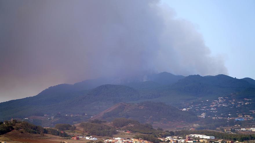 El fuego arrasa el 8% de la isla de Tenerife, sobre todo masa forestal de zonas protegidas