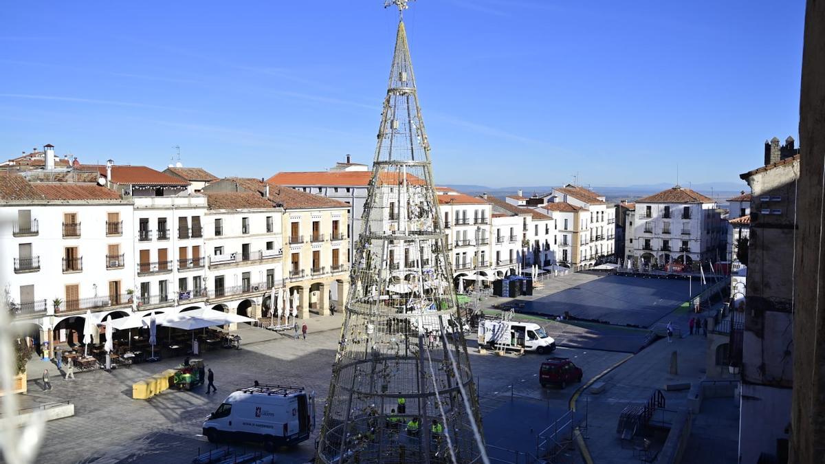 Árbol de Navidad gigante en la plaza Mayor de Cáceres.