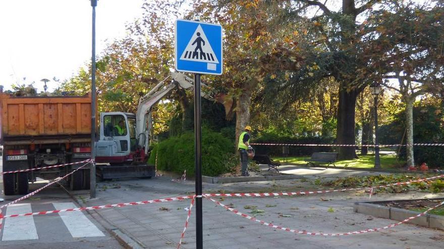 Los operarios, trabajando en la poda y tala de árboles del parque.