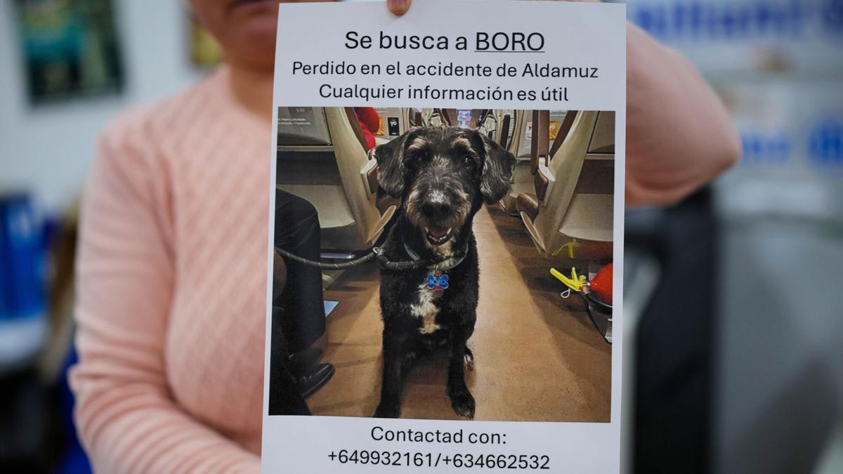 Una mujer muestra uno de los coarteles de 'Se busca a Boro'.