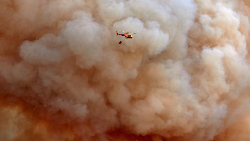 Els últims focs eleven la superfície cremada a nivells de fa vuit anys