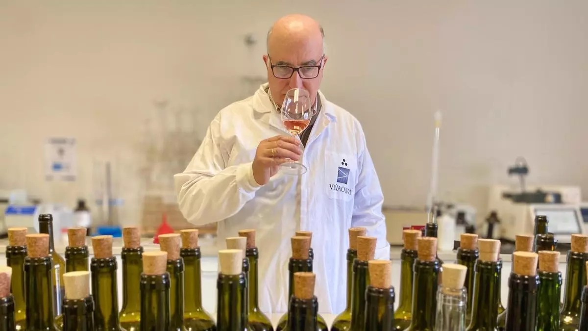 Un vino extremeño, elegido como el mejor tempranillo joven de España