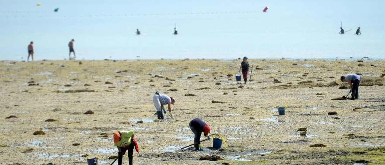 Mariscadoras faenando en una playa de A Illa de Arousa. // Noé Parga