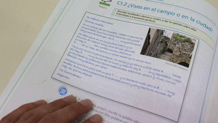 Texto académico referente a Fermoselle en la publicación inglesa.