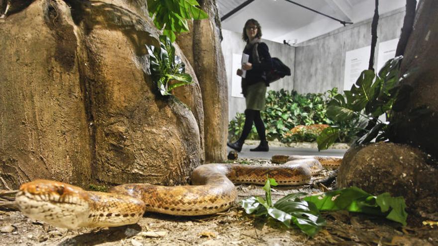 Imagen interior del Museo de la Biodiversidad