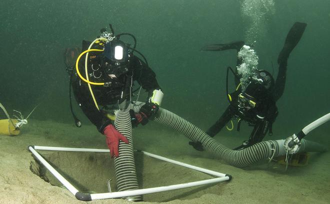 La nueva  joya de la Galicia submarina