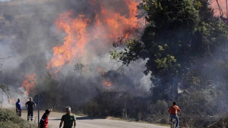 El fuego de Salamanca, ya controlado, llegó hasta los huertos de los agricultores