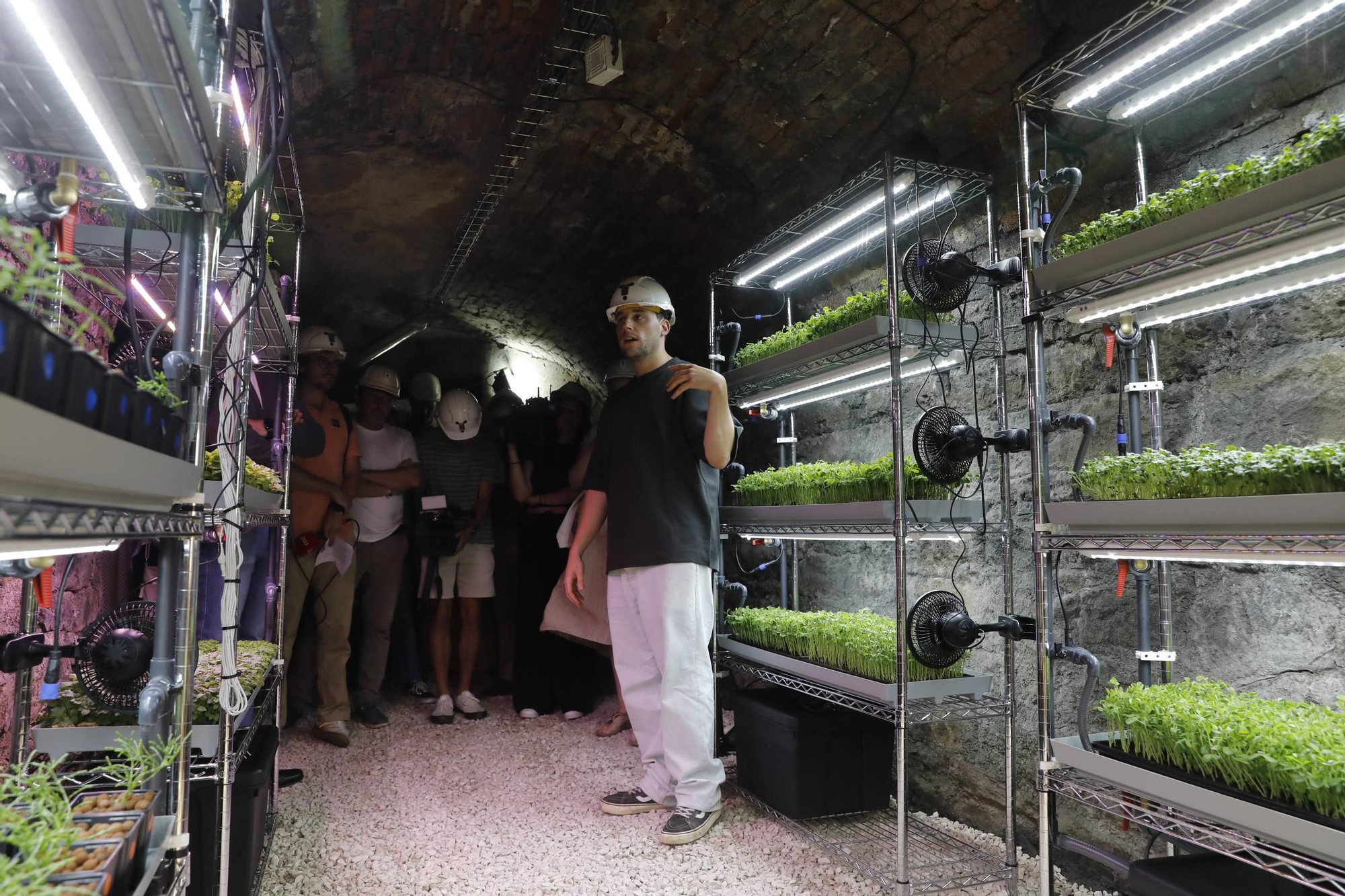 De Laviana a la Luna: así son los experimentos con cultivos subterráneos que se hacen en Carrio