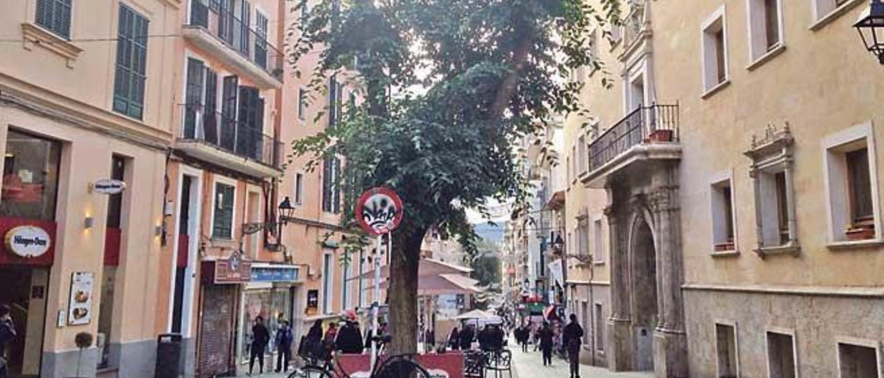 La calle Oms dejó de ser apta para los vehículos 25 años atrás.