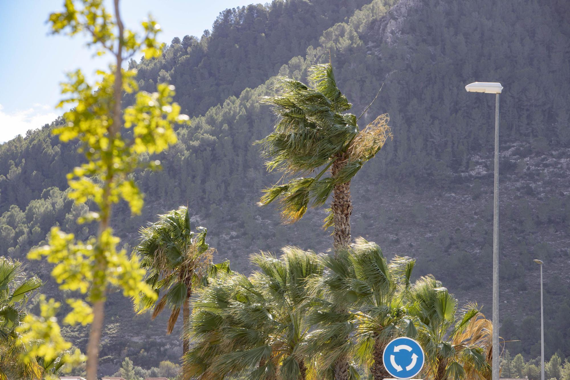 El viento azota con fuerza en Xàtiva