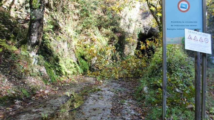 Un tramo de la senda bloqueado por ramas y piedras, tras el fuerte temporal del otoño pasado.