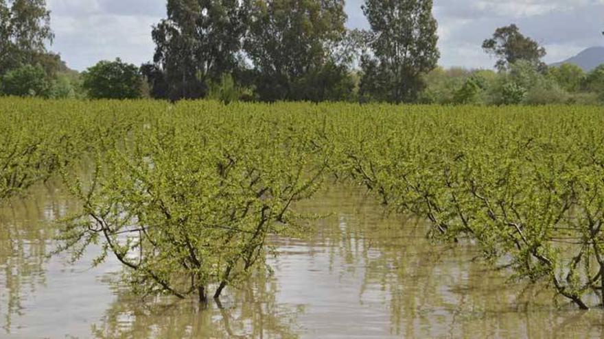 La Junta asegura que ningún afectado por inundaciones &quot;quedará desatendido&quot;