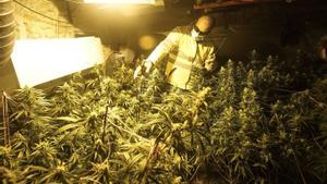 El pes de l’economia il·legal en el PIB d’Espanya augmenta fins al 0,92%