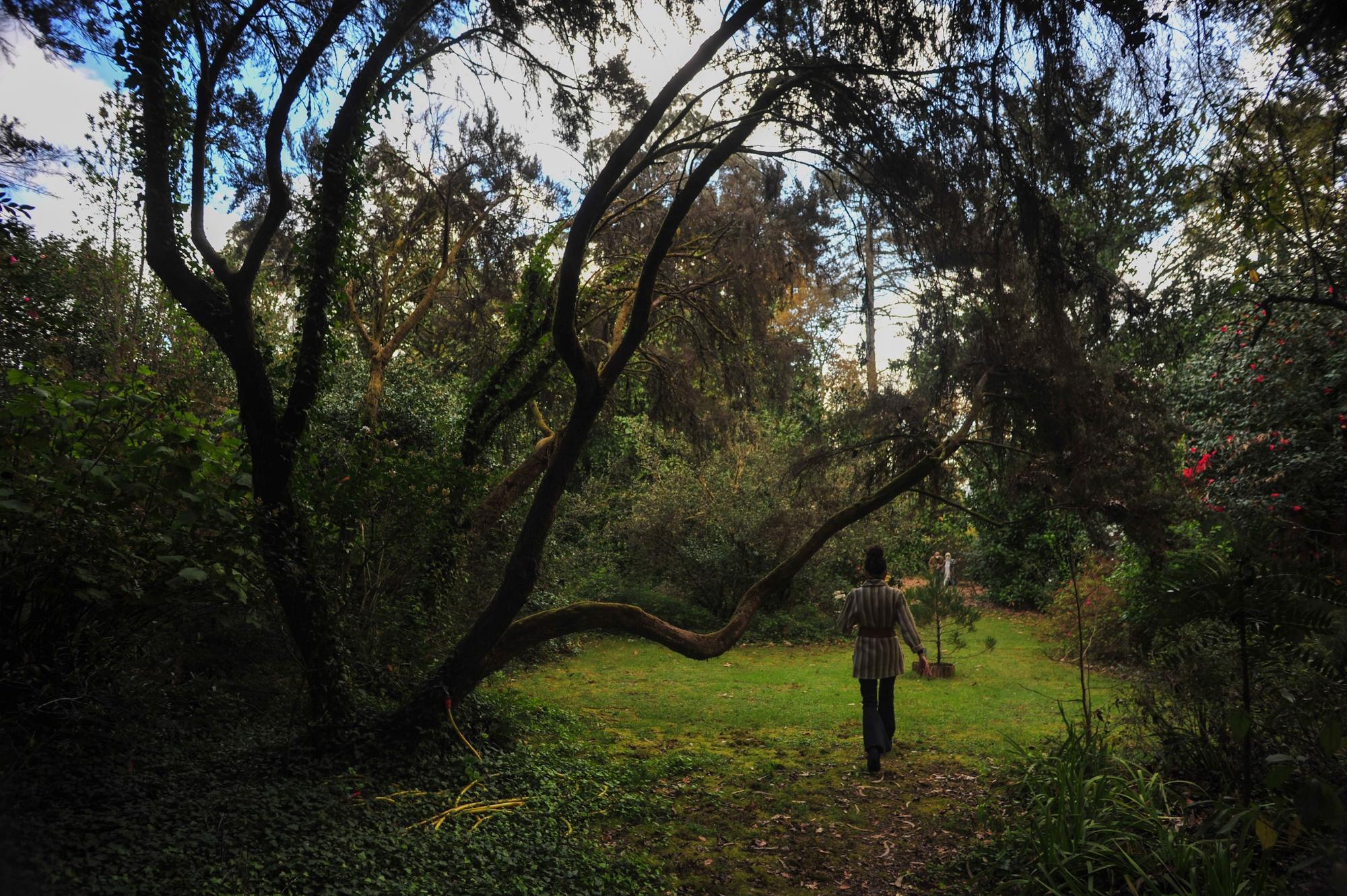 Un paseo por los jardines de Pazo de La Saleta.