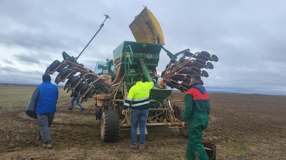 Siembra de campos de ensayo en Villamayor de Campos