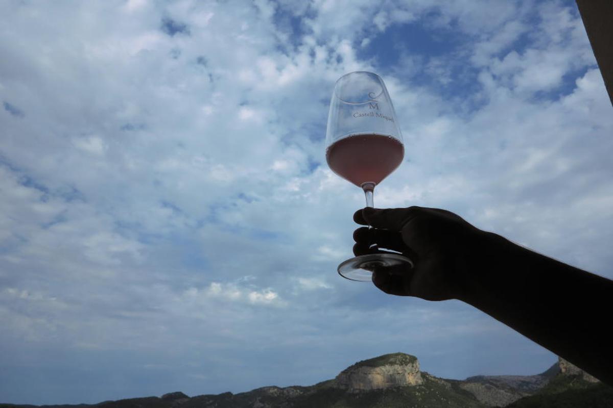 Vendimia en Mallorca en la finca Castell Miquel