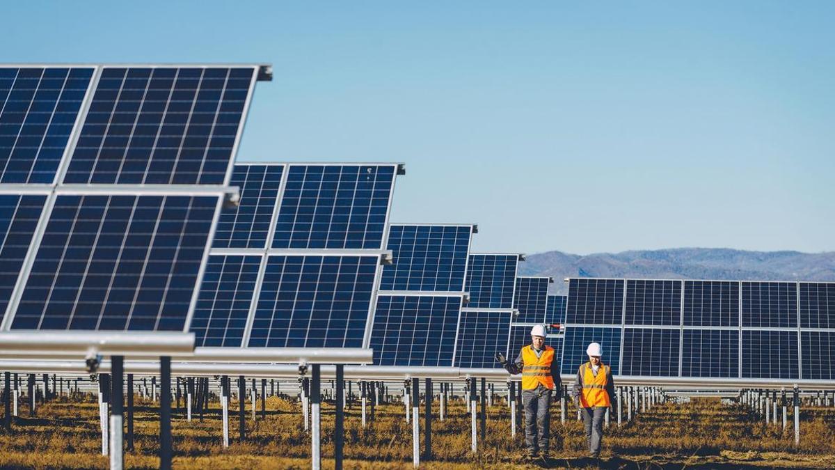 Técnicos trabajan en la instalación de placas solares.