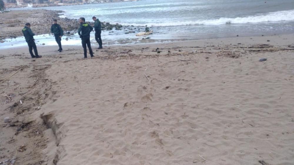 Aparece un cadáver en el Port de Sóller