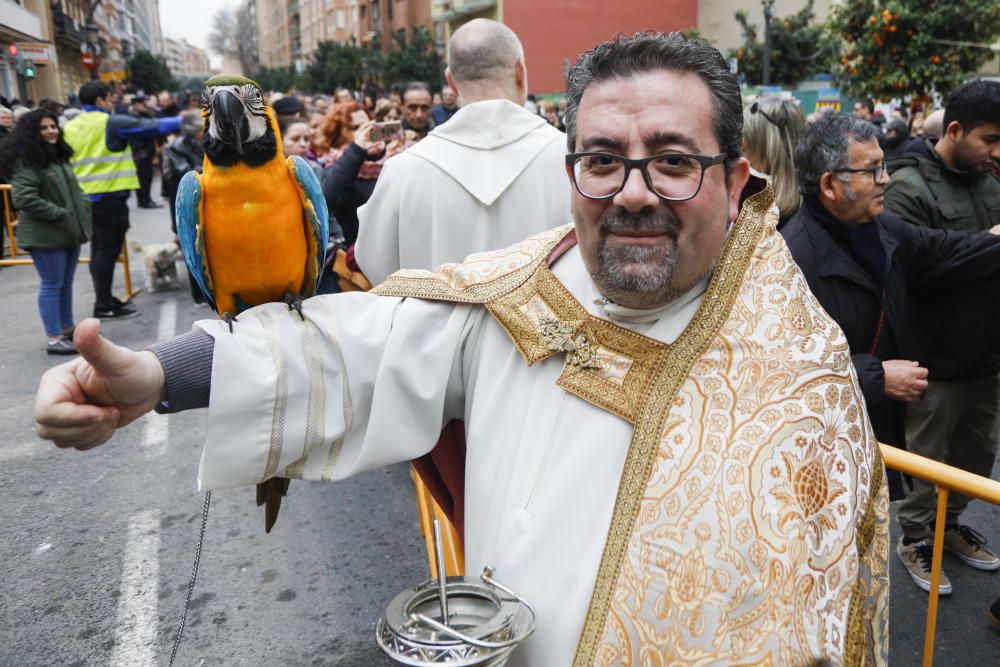 Festividad de Sant Antoni en València