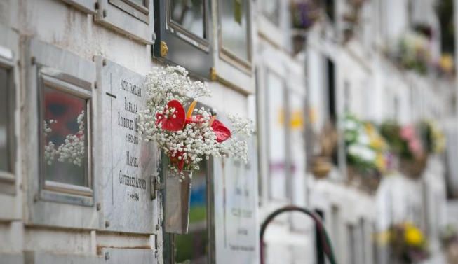 Cementerio de San Luis, en La Laguna