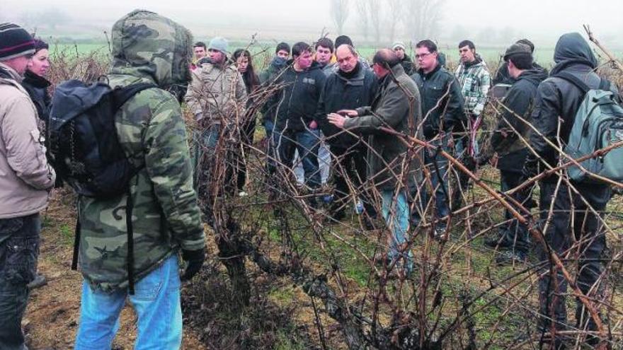 Antonio Alfonso, en el centro, explica a profesores y universitarios expertos en agroalimentación el pasado lunes las características de uno de sus viñedos.