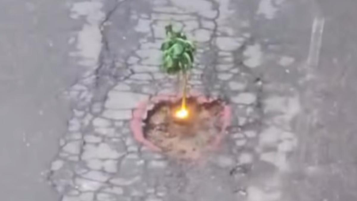 La inesperada utilidad de la baliza V-16 en Galicia: plantada con berzas para alertar de un bache