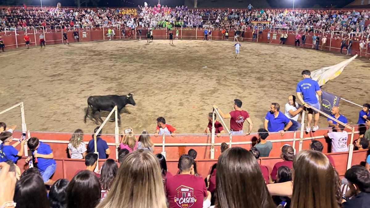 GALERÍA | Noche de vaquillas en San Cristóbal de Entreviñas